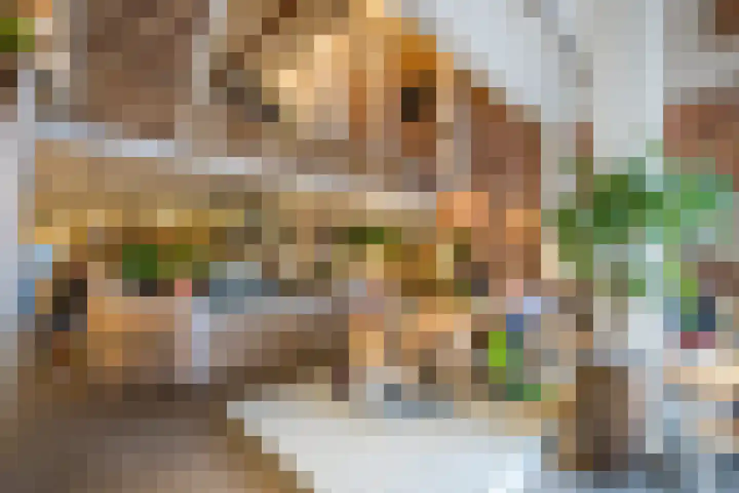 Van Ostadestraat 191 B Amsterdam thumbnail 24