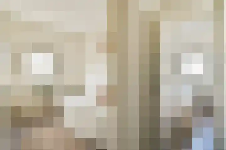 Van Ostadestraat 2 1 Amsterdam thumbnail 12
