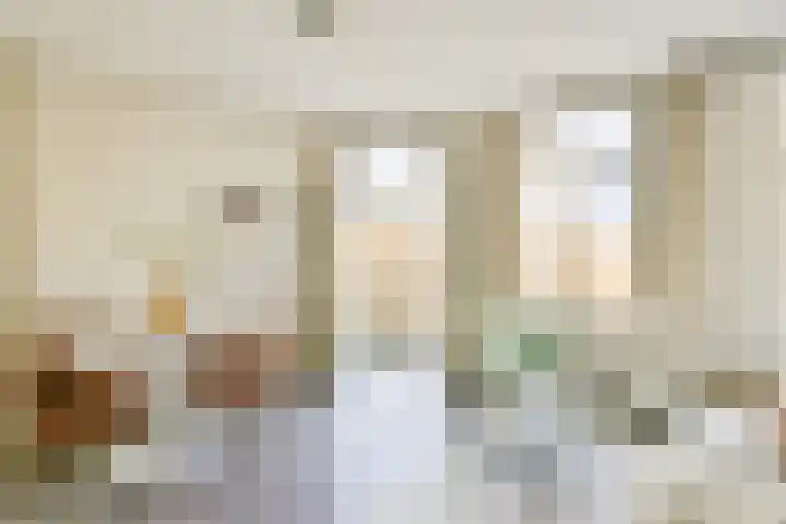 Van Ostadestraat 2 1 Amsterdam thumbnail 6