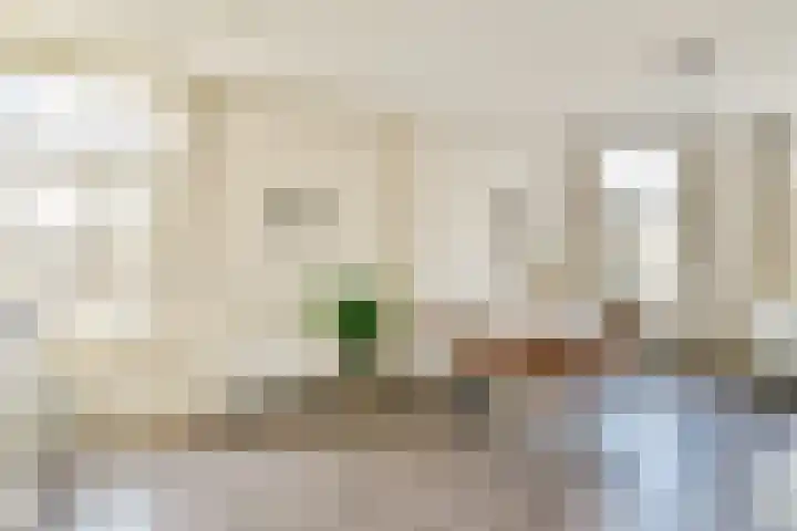 Van Ostadestraat 2 1 Amsterdam thumbnail 9