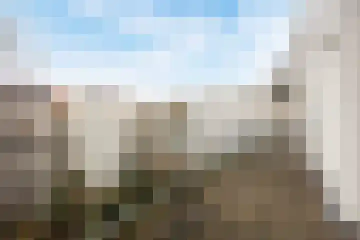 Van Ostadestraat 202 3 Amsterdam thumbnail 16