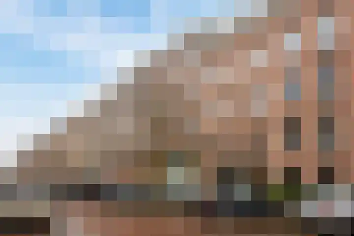 Van Ostadestraat 202 3 Amsterdam thumbnail 19