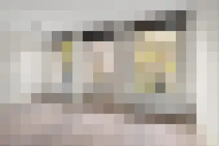 Van Ostadestraat 202 H Amsterdam thumbnail 4