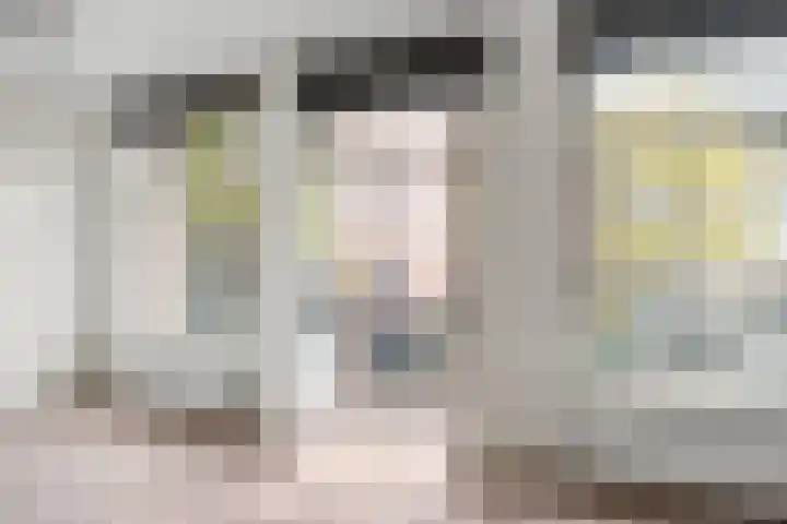 Van Ostadestraat 202 H Amsterdam thumbnail 5