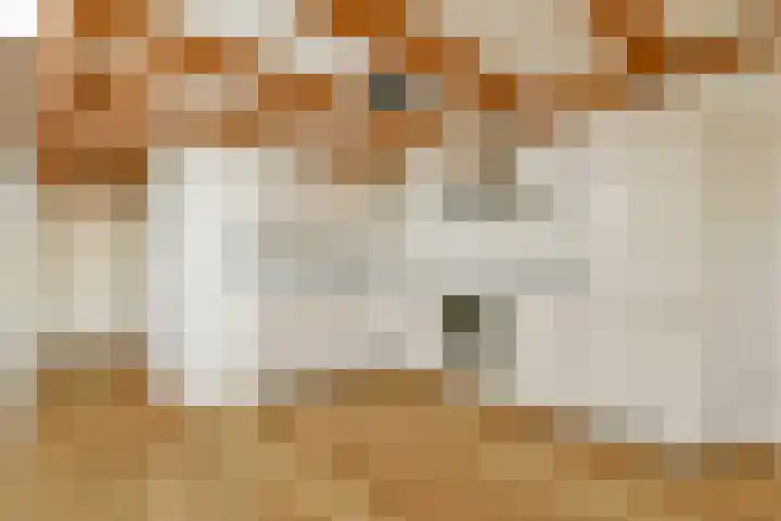 Van Ostadestraat 204 4 Amsterdam thumbnail 11
