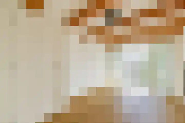 Van Ostadestraat 204 4 Amsterdam thumbnail 14