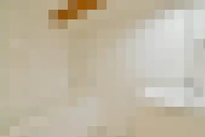 Van Ostadestraat 204 4 Amsterdam thumbnail 19
