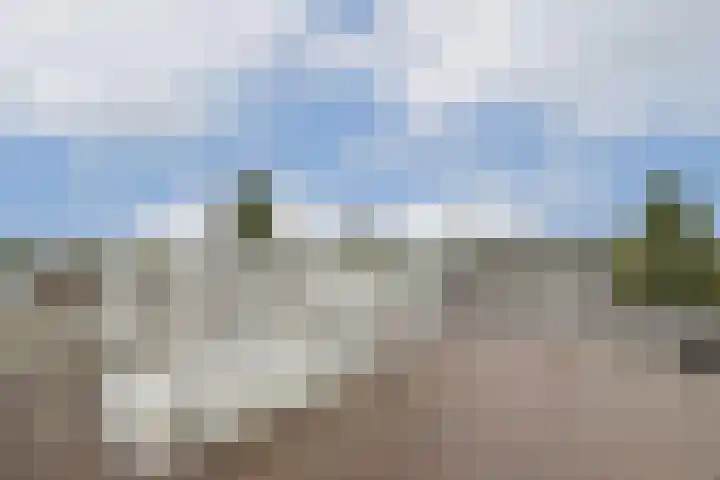 Van Ostadestraat 204 4 Amsterdam thumbnail 23