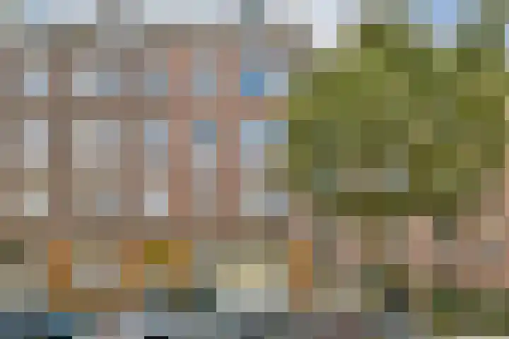 Van Ostadestraat 204 4 Amsterdam thumbnail 25