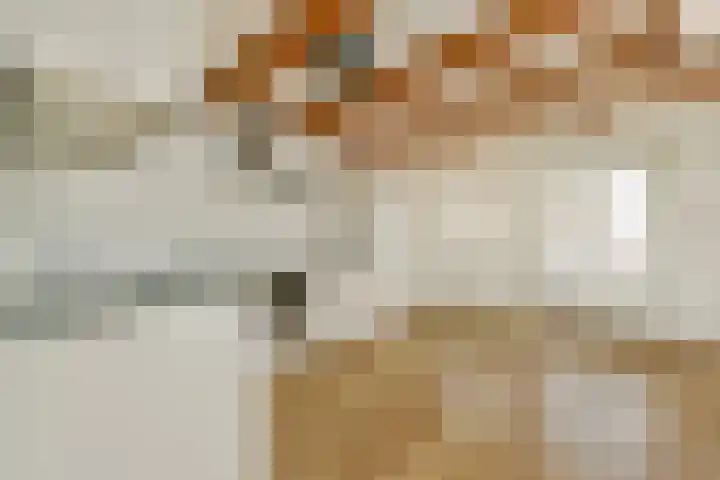 Van Ostadestraat 204 4 Amsterdam thumbnail 4