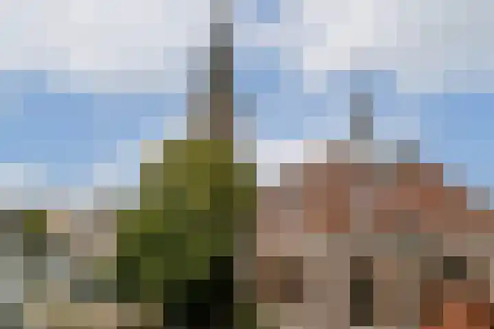 Van Ostadestraat 204 4 Amsterdam thumbnail 7