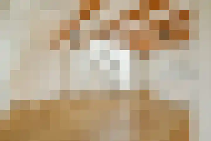 Van Ostadestraat 204 4 Amsterdam thumbnail 9