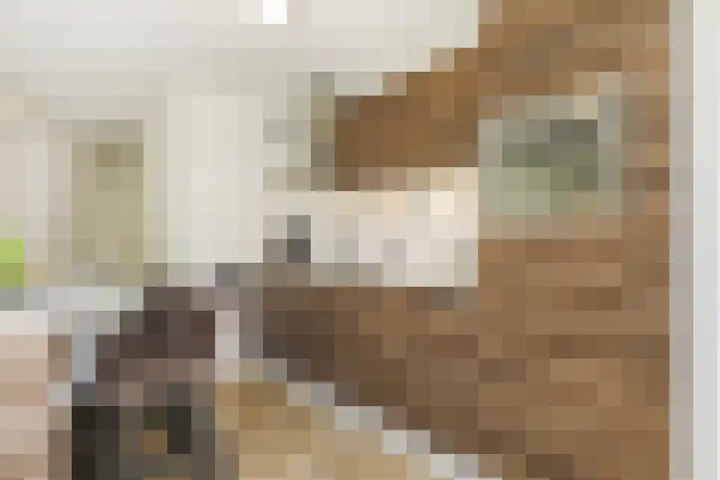 Van Ostadestraat 209 B Amsterdam thumbnail 11