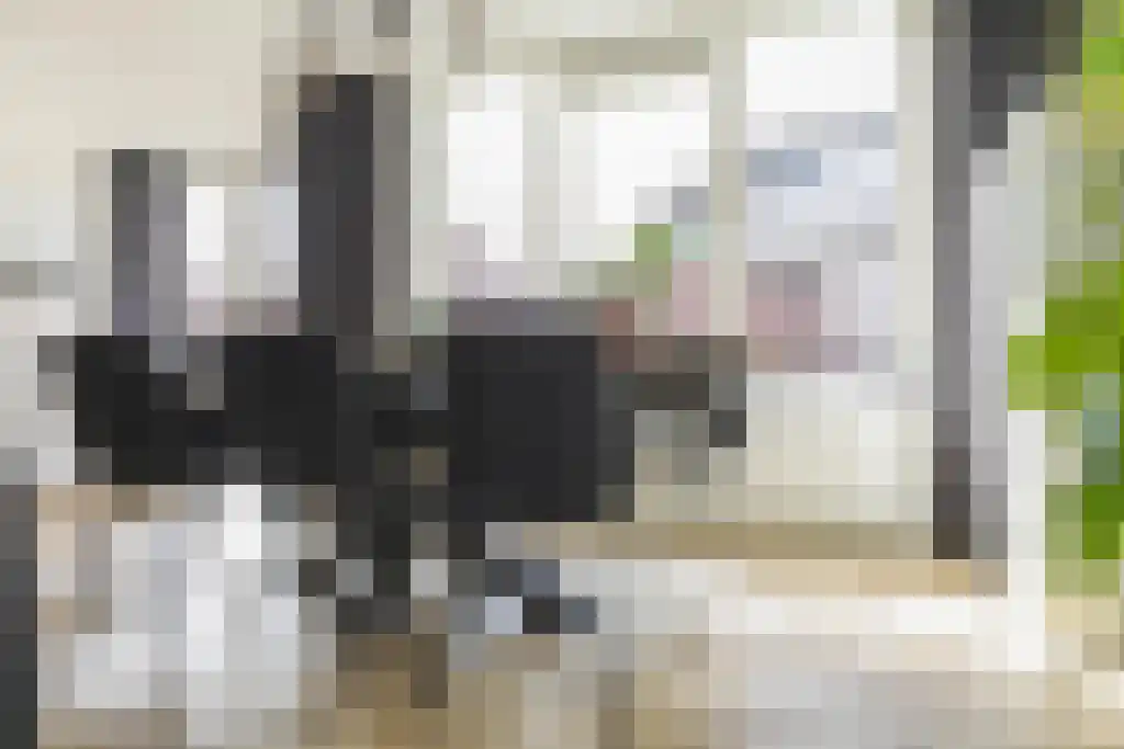 Van Ostadestraat 209 B Amsterdam thumbnail 17