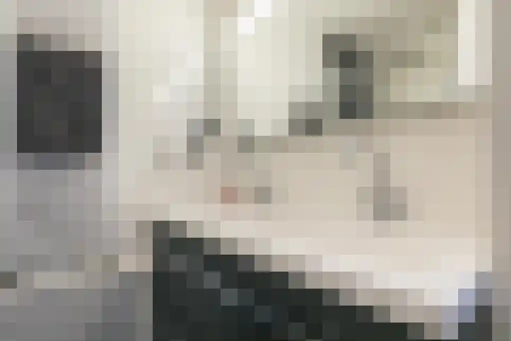 Van Ostadestraat 209 B Amsterdam thumbnail 31