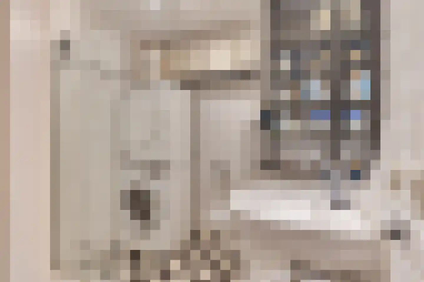 Van Ostadestraat 21 3V Amsterdam thumbnail 14