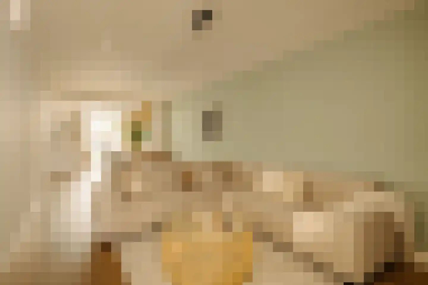 Van Ostadestraat 21 4 Amsterdam thumbnail 11