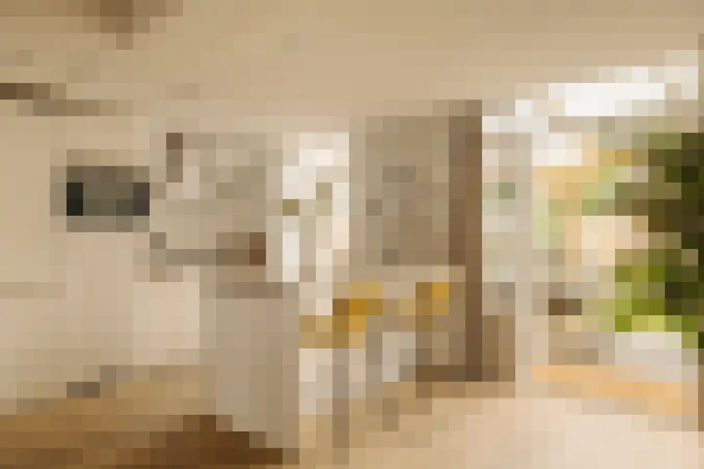 Van Ostadestraat 21 4 Amsterdam thumbnail 13