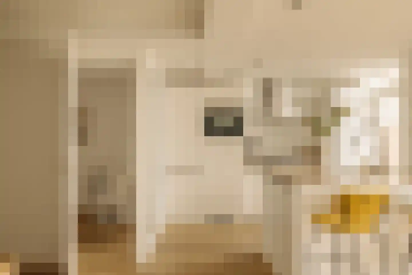 Van Ostadestraat 21 4 Amsterdam thumbnail 19