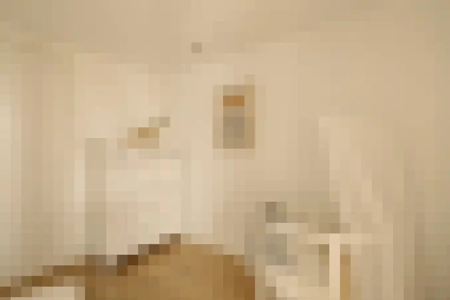 Van Ostadestraat 21 4 Amsterdam thumbnail 20