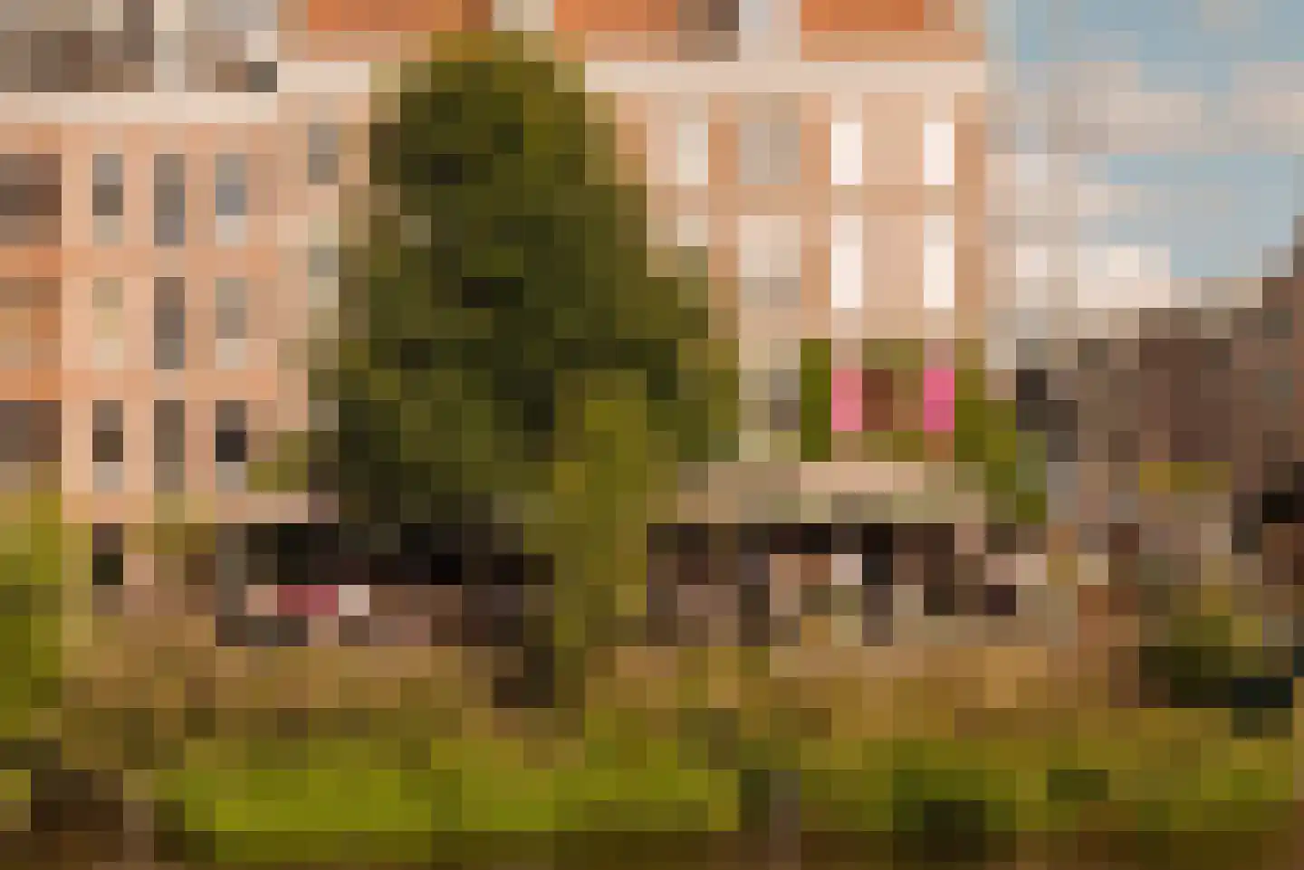 Van Ostadestraat 21 4 Amsterdam thumbnail 27