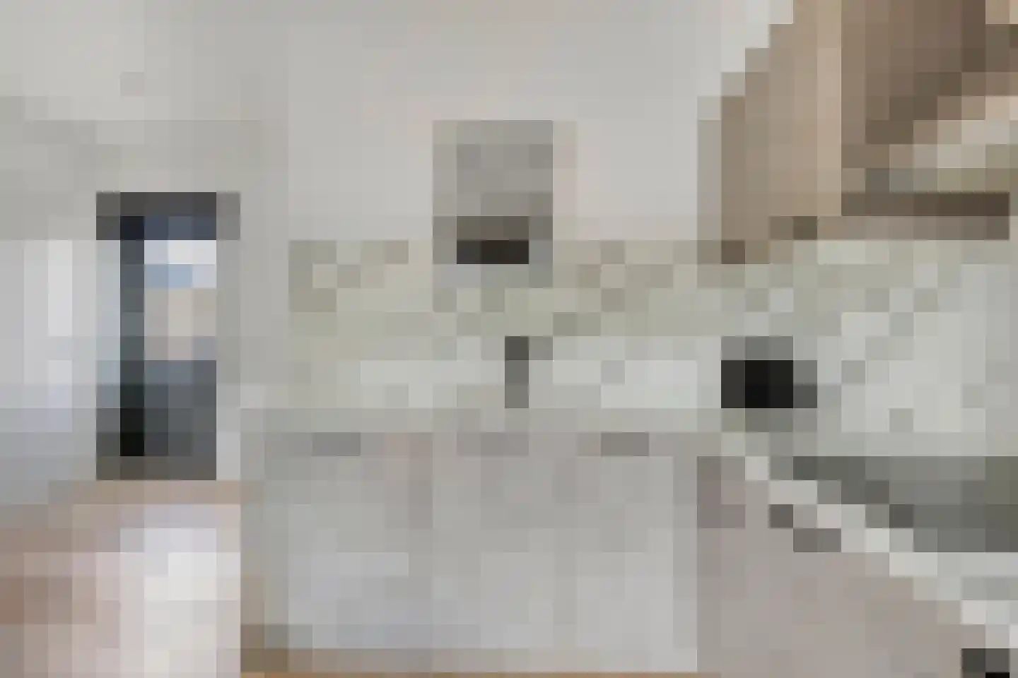 van Ostadestraat 21 b Zandvoort thumbnail 8