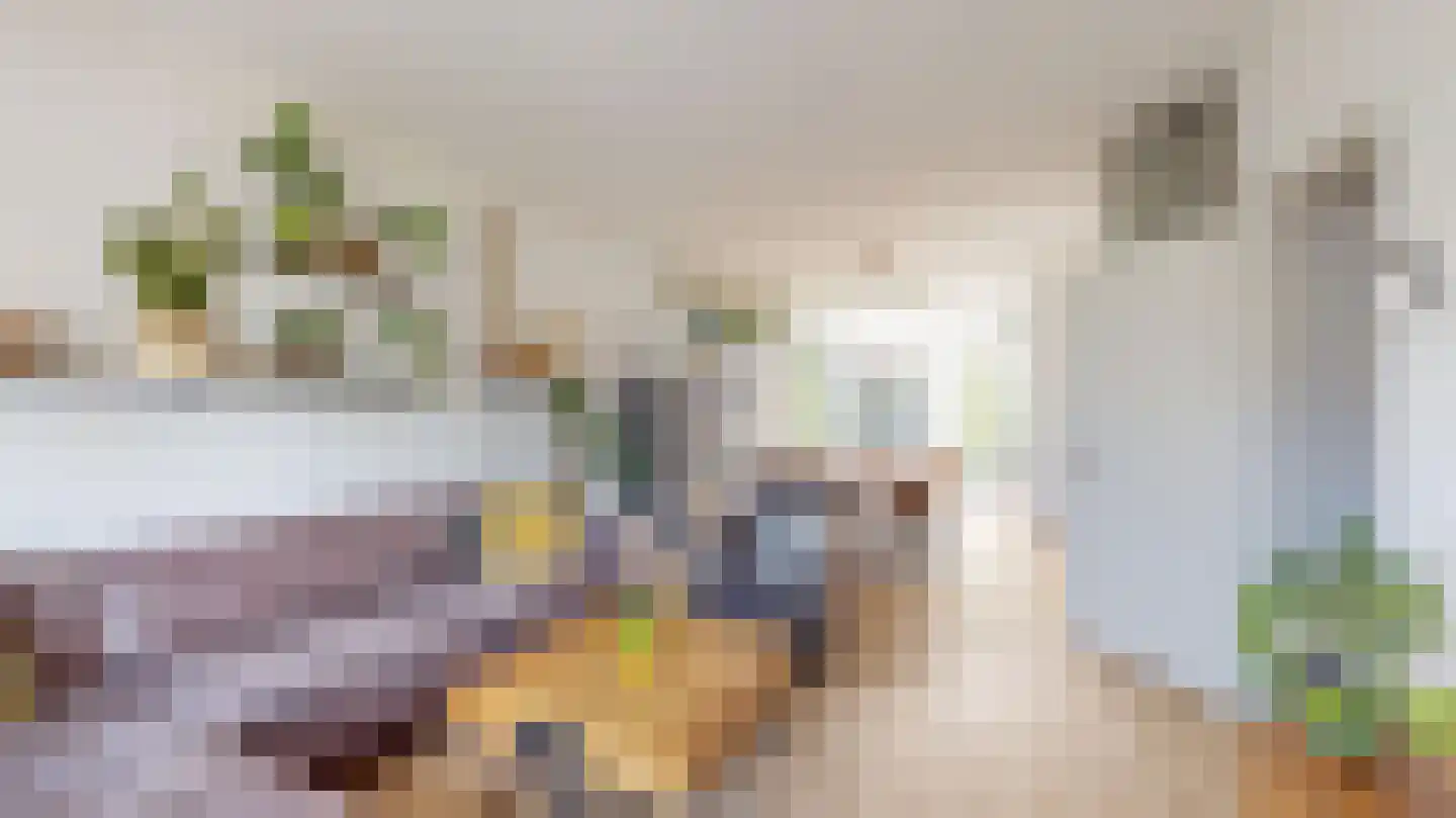 Van Ostadestraat 21 Geleen thumbnail 10