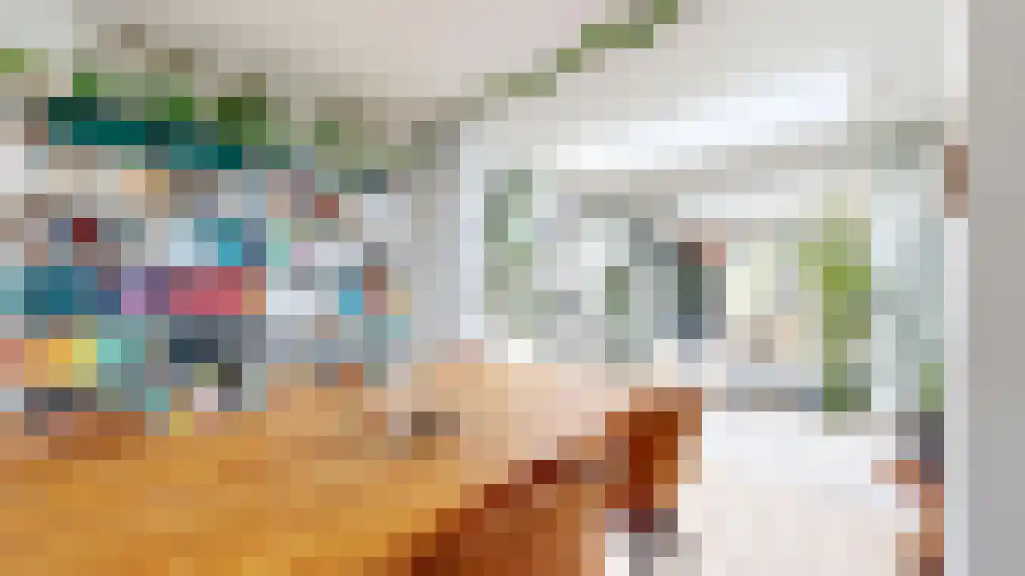 Van Ostadestraat 21 Geleen thumbnail 12