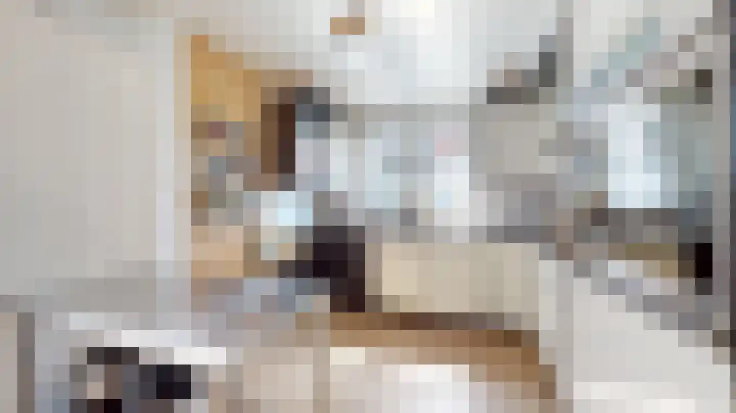 Van Ostadestraat 21 Geleen thumbnail 15