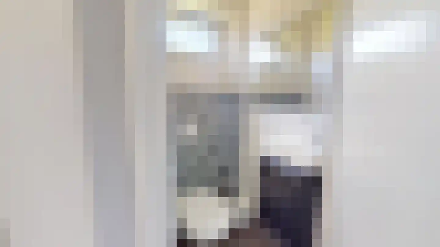 Van Ostadestraat 21 Geleen thumbnail 18