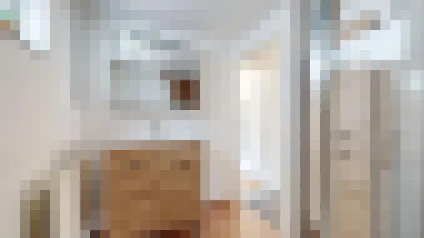Van Ostadestraat 21 Geleen thumbnail 28