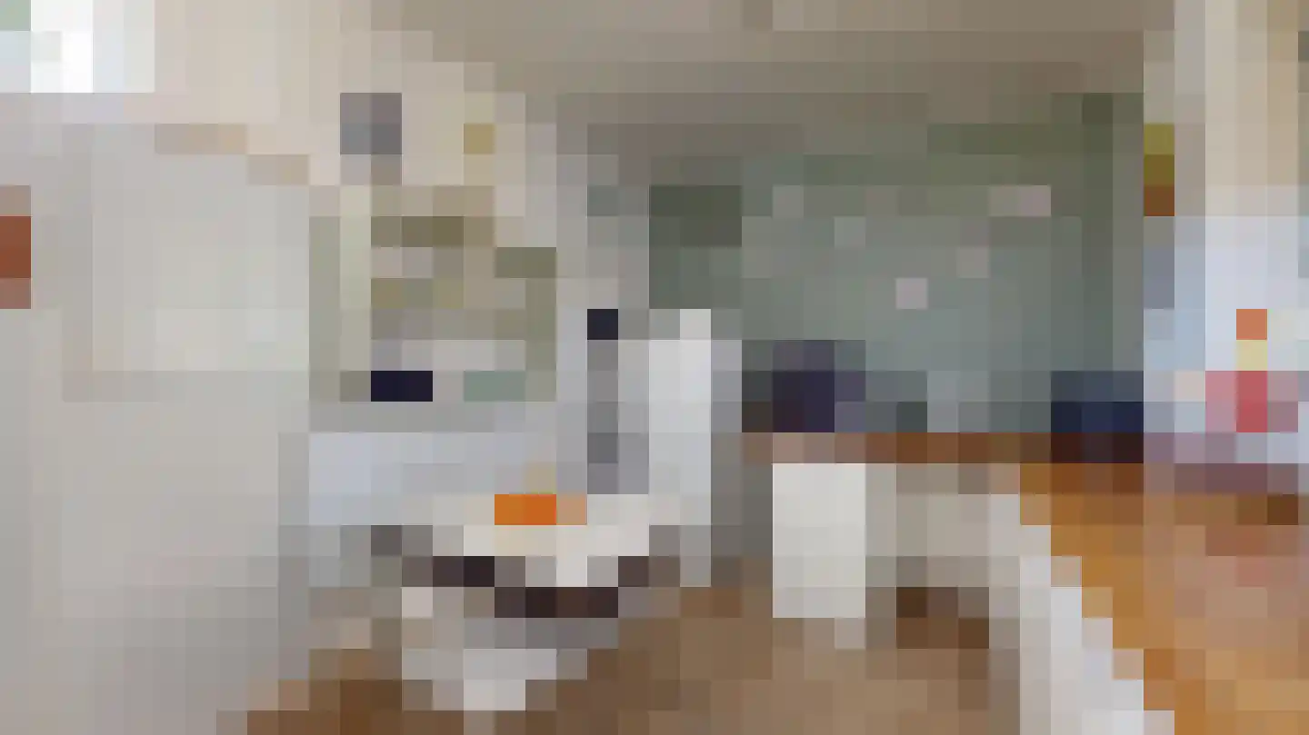 Van Ostadestraat 21 Geleen thumbnail 32