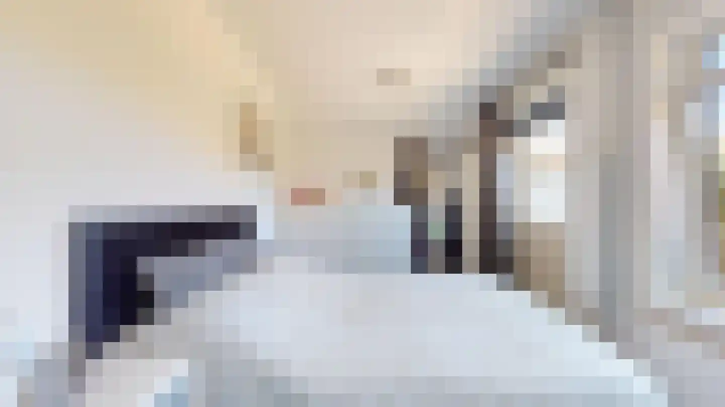 Van Ostadestraat 21 Geleen thumbnail 35