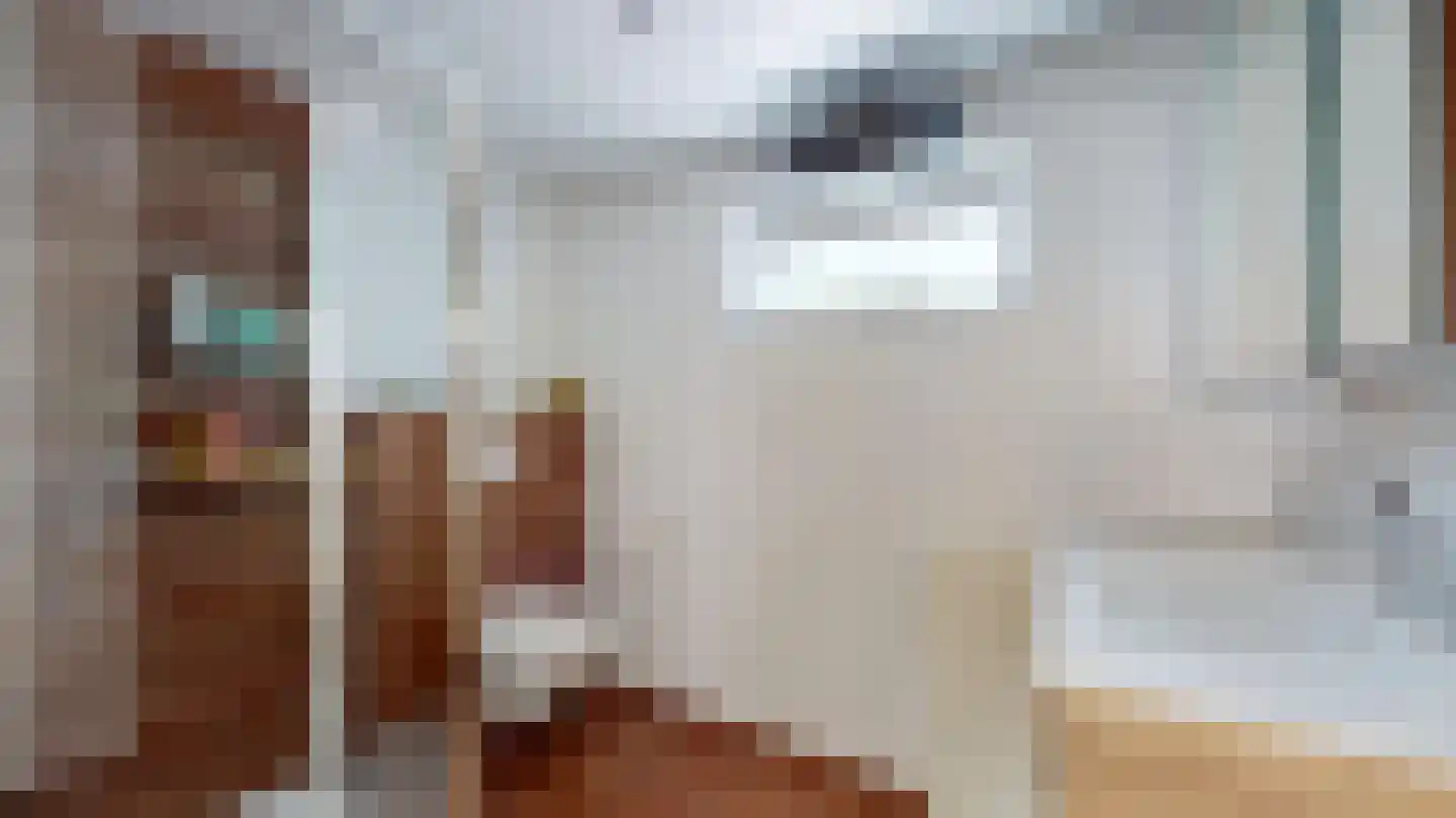 Van Ostadestraat 21 Geleen thumbnail 4