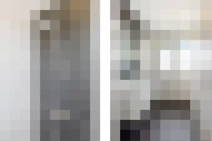Van Ostadestraat 21 Zoetermeer thumbnail 15