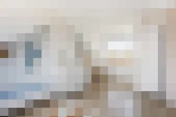 Van Ostadestraat 21 Zoetermeer thumbnail 18