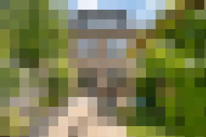 Van Ostadestraat 21 Zoetermeer thumbnail 21