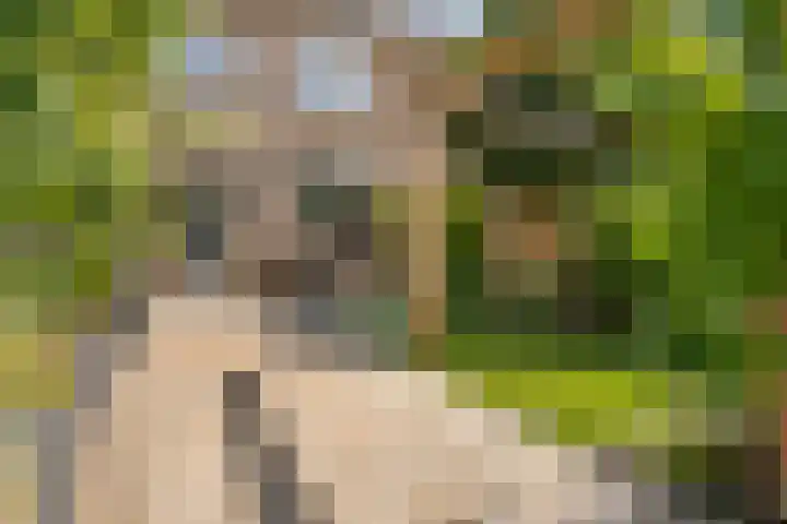 Van Ostadestraat 21 Zoetermeer thumbnail 22
