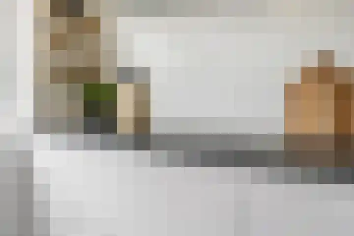 Van Ostadestraat 21 Zoetermeer thumbnail 6