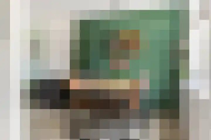 Van Ostadestraat 21 Zoetermeer thumbnail 7