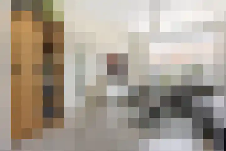 Van Ostadestraat 21 Zoetermeer thumbnail 8