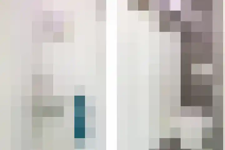 Van Ostadestraat 21 Zoetermeer thumbnail 9