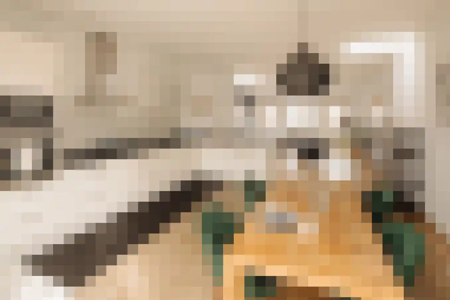 Van Ostadestraat 22 3 Amsterdam thumbnail 13