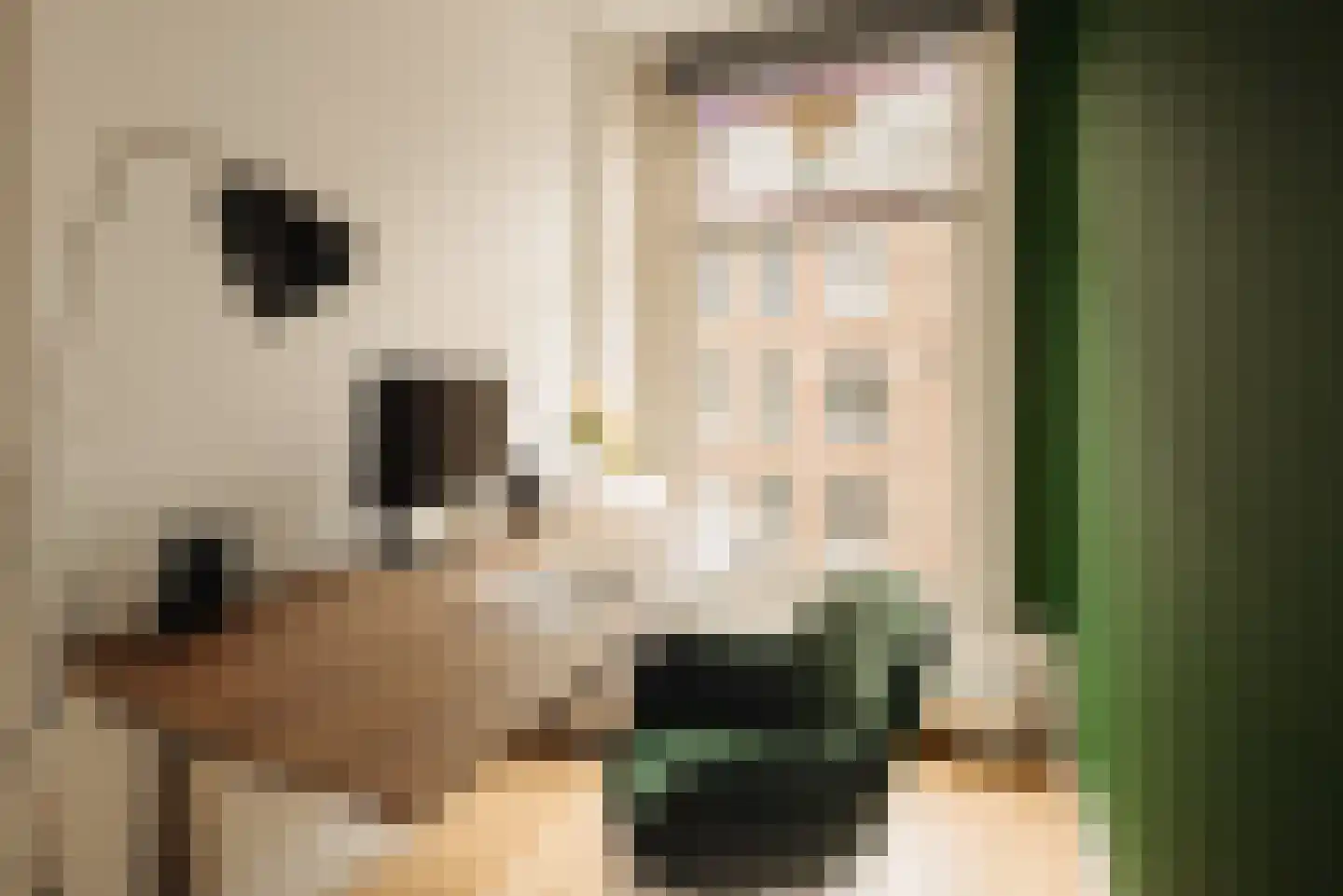 Van Ostadestraat 22 3 Amsterdam thumbnail 29
