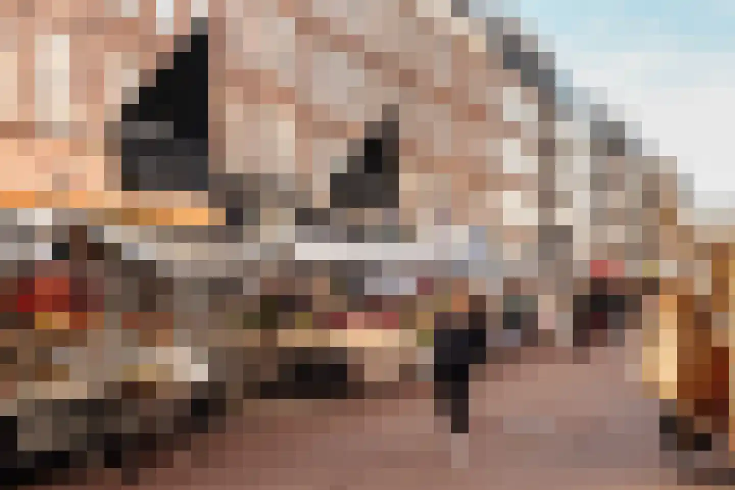 Van Ostadestraat 22 3 Amsterdam thumbnail 41