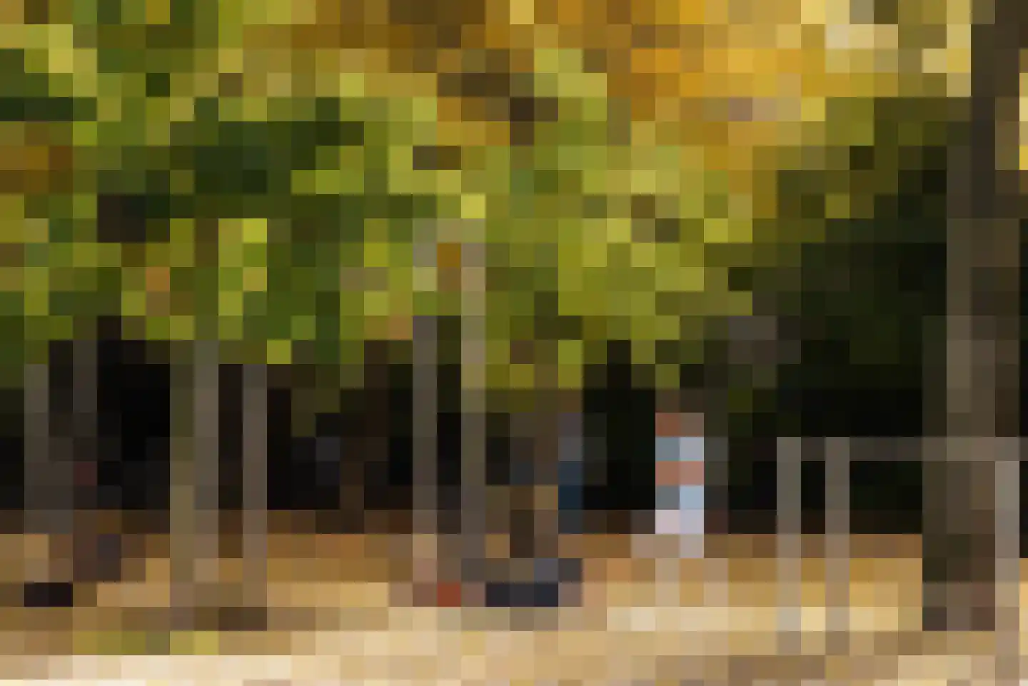 Van Ostadestraat 22 3 Amsterdam thumbnail 42
