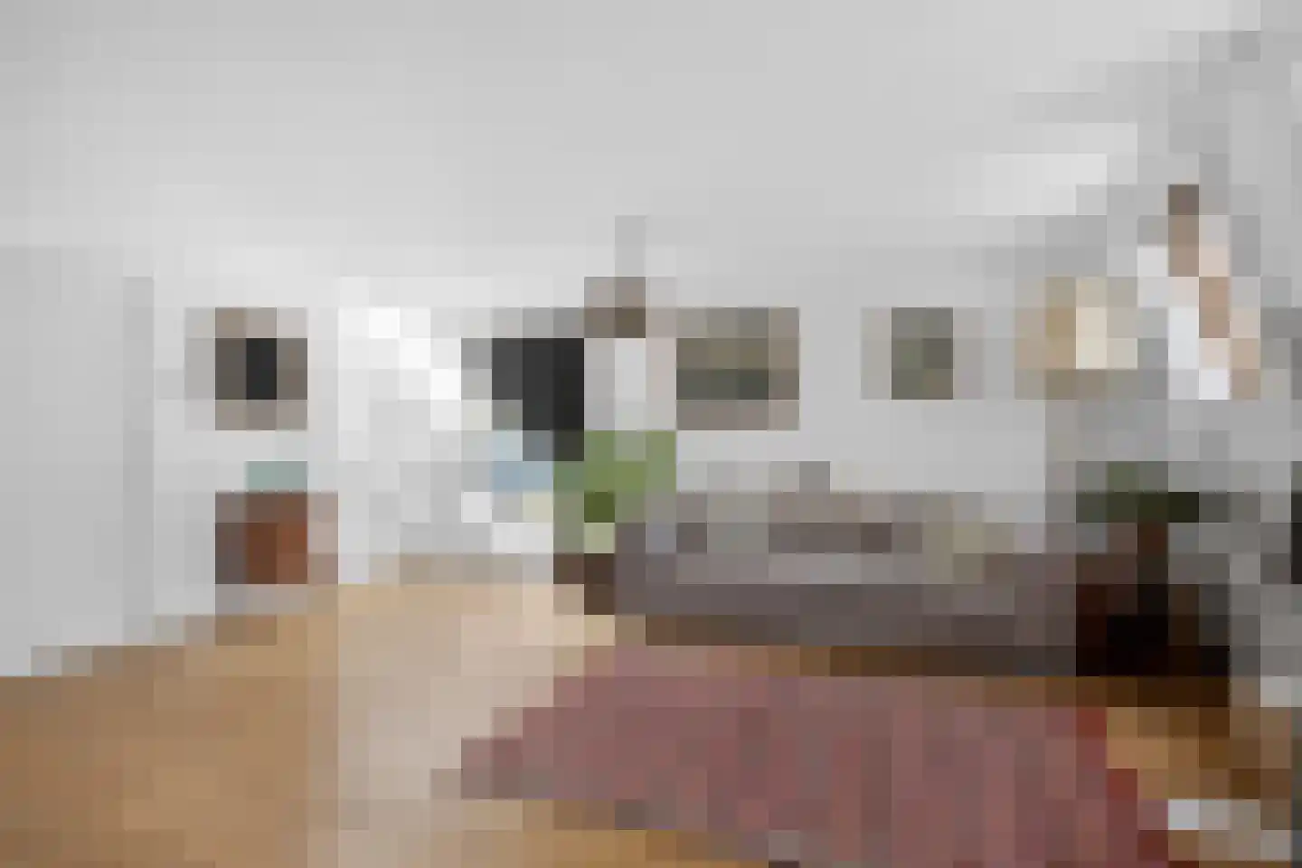 Van Ostadestraat 220 4 Amsterdam thumbnail 9