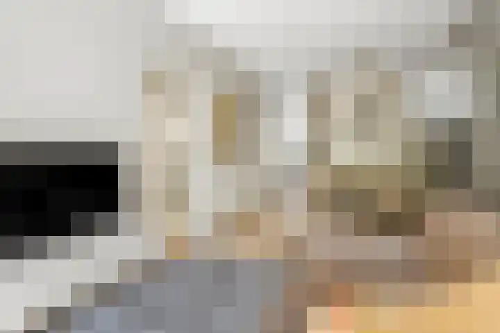 Van Ostadestraat 238 1 Amsterdam thumbnail 6