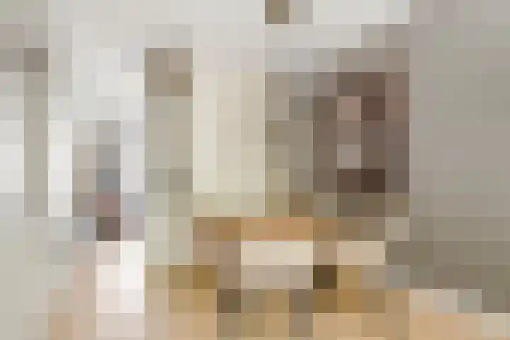 Van Ostadestraat 238 1 Amsterdam thumbnail 7