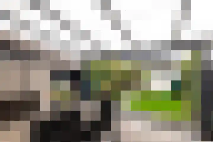 Van Ostadestraat 26 Assen thumbnail 10